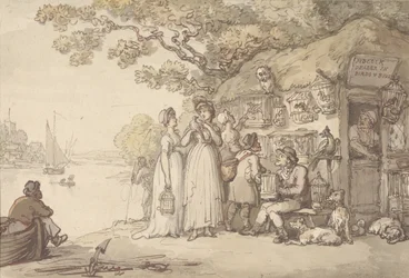 Pidcock, Händler für Vögel und Tiere